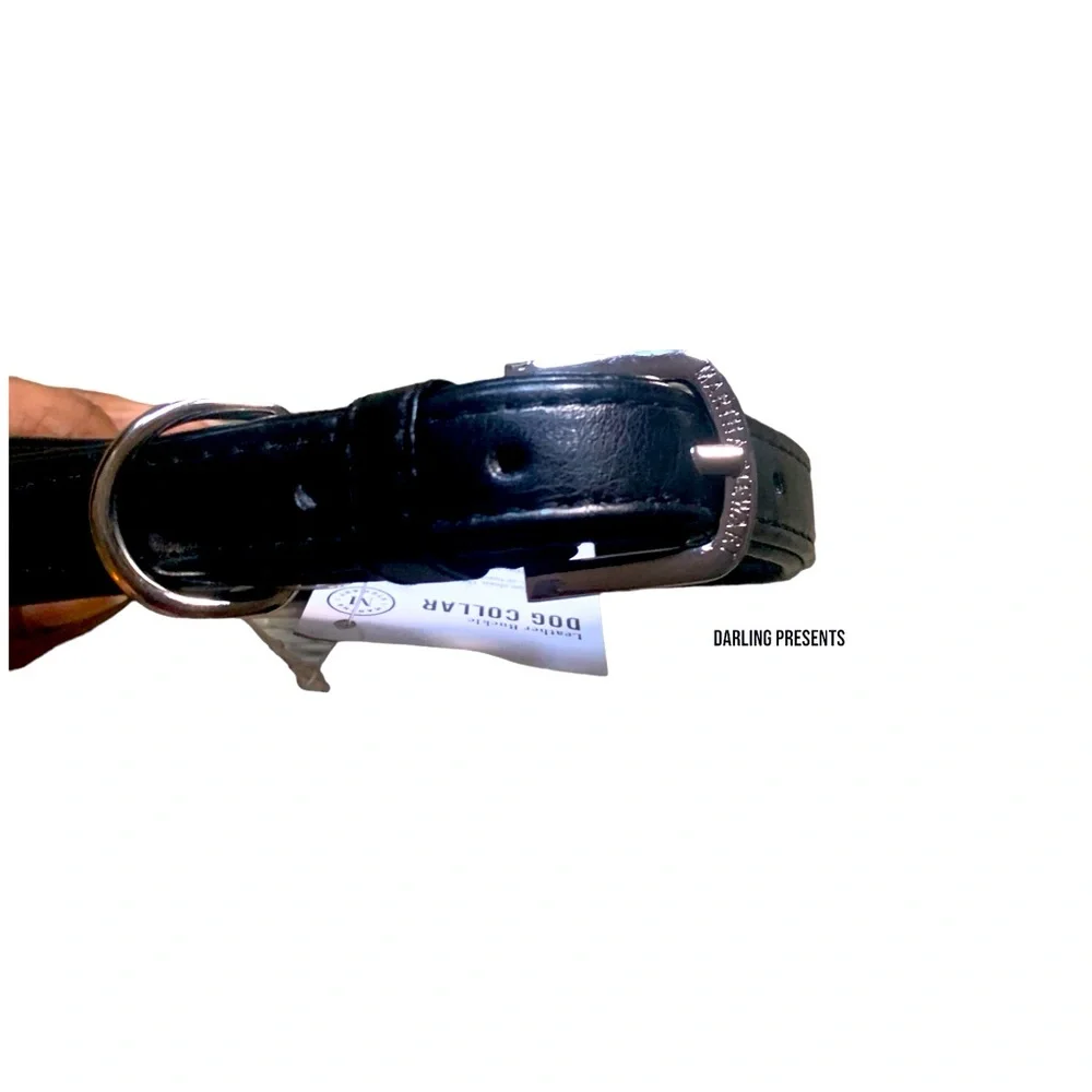 Martha Stewart Vegan Leather Engraved Buckle Dog Collar Black Size 16/M